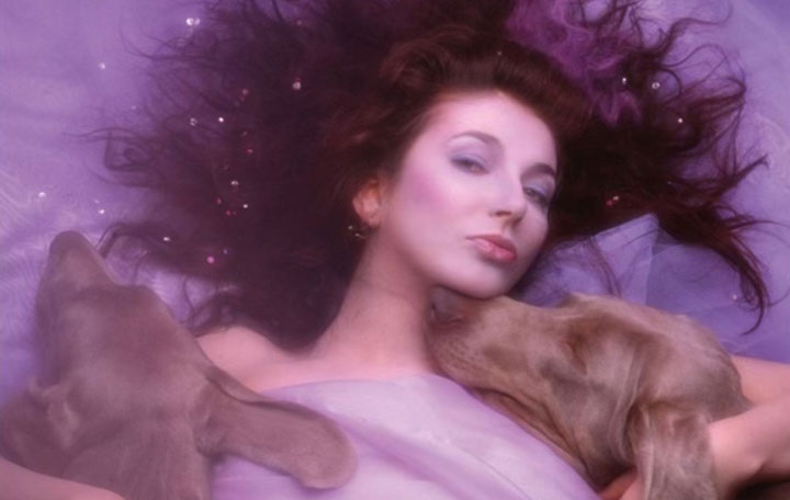 Kate Bush “Running Up That Hill (A Deal With God)”